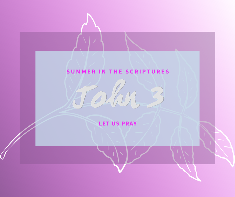 Summer in the Scriptures John (1)